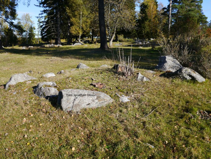 From Stockholm: Viking Culture and Heritage Small Group Tour - Is $138 a fair price?