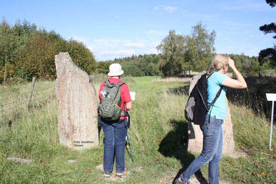 From Stockholm: Viking Culture and Heritage Small Group Tour - Who will get the most from this tour?