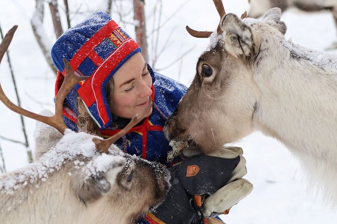 Full-Day Reindeer Tour with Pickup in Kiruna - Key points to know before booking