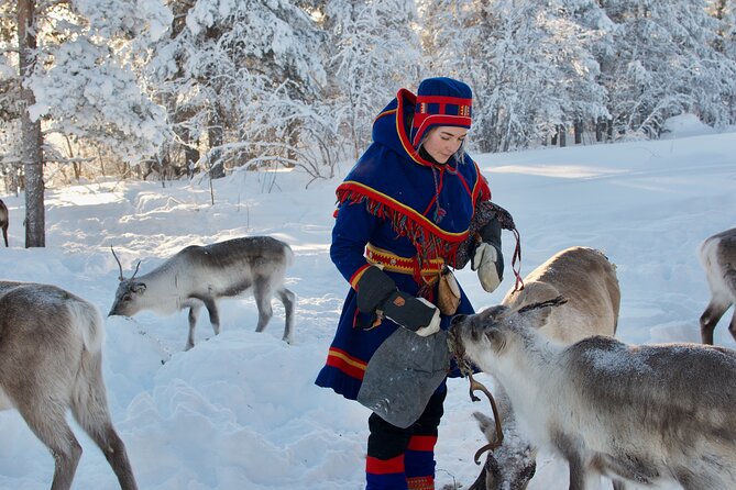 Full-Day Reindeer Tour with Pickup in Kiruna - Leaving Kiruna for Sápmi