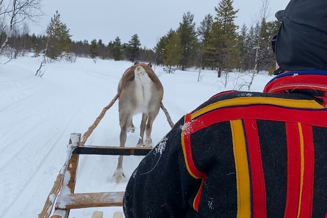 Full-Day Reindeer Tour with Pickup in Kiruna - Hearing Frederik explain Sámi life