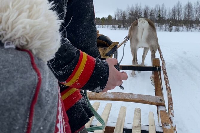 Full-Day Reindeer Tour with Pickup in Kiruna - Warm clothing and the far-north cold