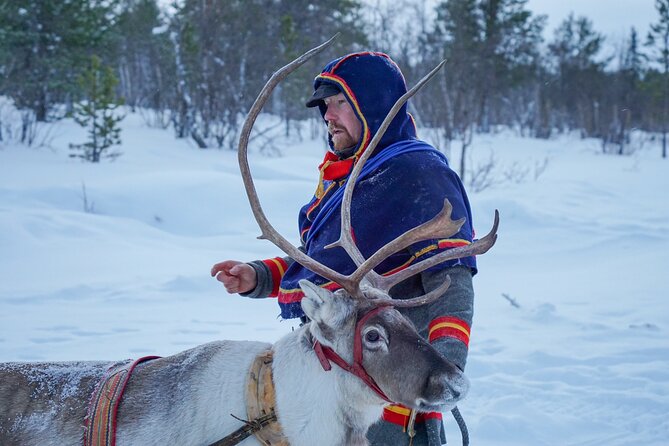 Full-Day Reindeer Tour with Pickup in Kiruna - Lunch in a traditional tent