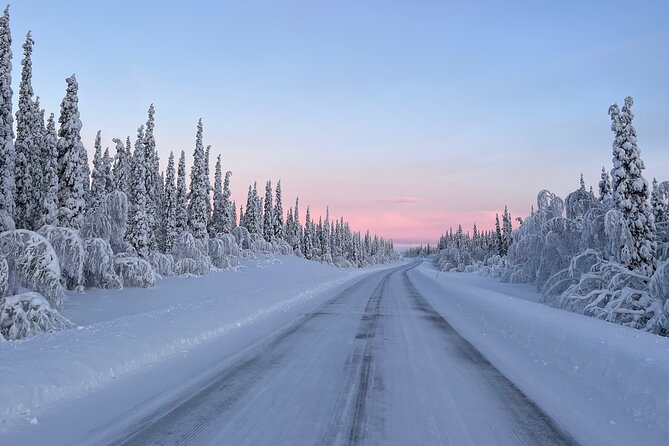 Full-Day Reindeer Tour with Pickup in Kiruna - Who will enjoy this day most?
