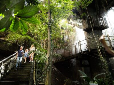 Gothenburg: Go City All-Inclusive Pass with 20+ Attractions