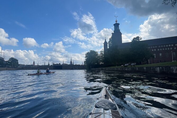 Guided Kayak Tour in Central Stockholm - What the $78.14 price buys you