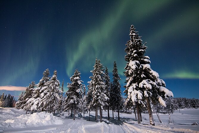 Guided Northern Lights Tour at Kiruna - Chasing the aurora beyond Kiruna