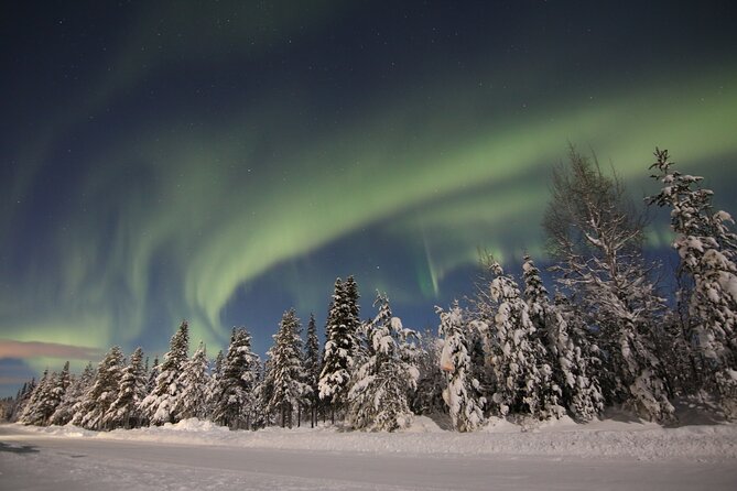 Guided Northern Lights Tour at Kiruna - How much control does the guide really have?
