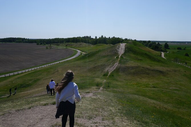 Guided tour 90min at Old Uppsala mounds and old Uppsala church - Key points to know before booking