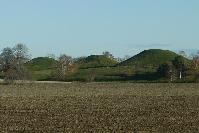 Guided tour 90min at Old Uppsala mounds and old Uppsala church - Walking around the three royal mounds