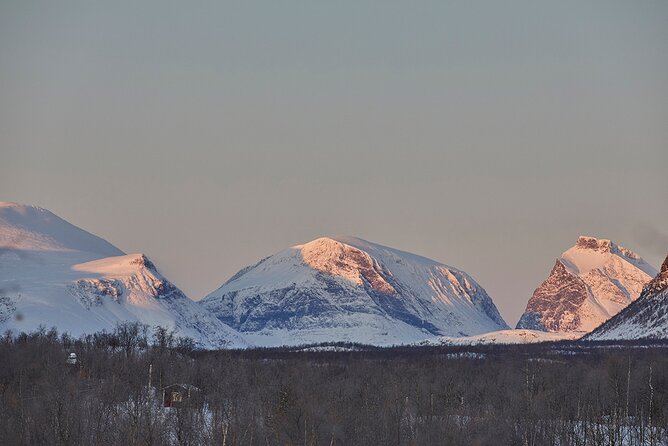 Half day Wildlife and Nature Photography - Following the Sami eight seasons