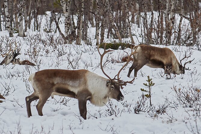 Half day Wildlife and Nature Photography - Who will enjoy this photography outing