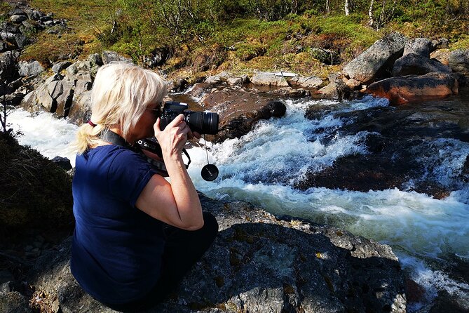 Half day Wildlife and Nature Photography - Searching for moose, reindeer, and birds
