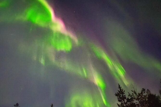 Husky Sled Ride Northern Lights Tour from Kiruna - Key points to know before booking