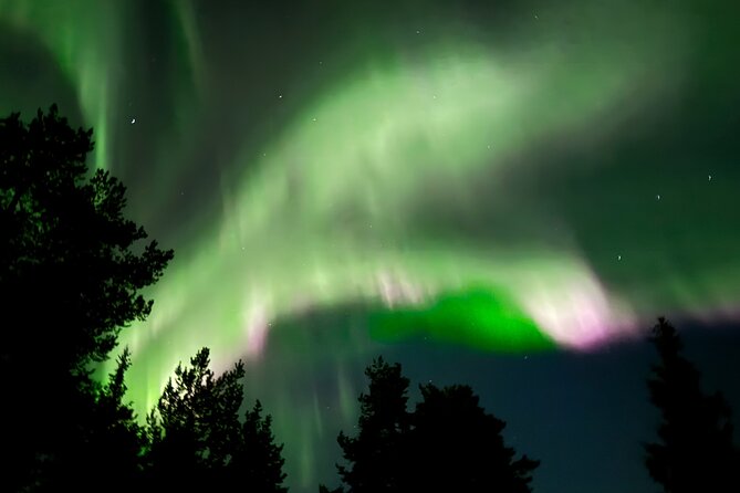 Husky Sled Ride Northern Lights Tour from Kiruna - Why the husky ride makes this Northern Lights tour different