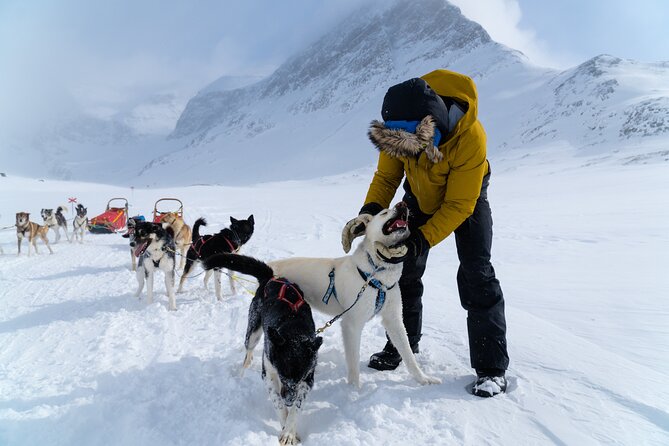 Husky Sledding Tour - Getting suited and meeting the huskies
