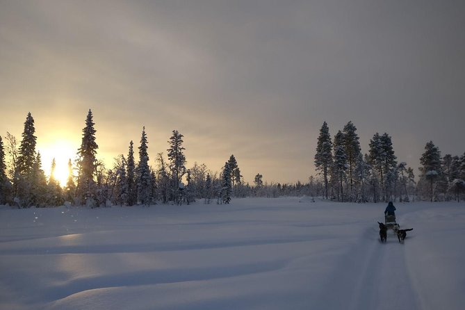 Husky Tour Sit and Drive Combo Tour from Kiruna - From Kiruna to the kennel near Svappavaara