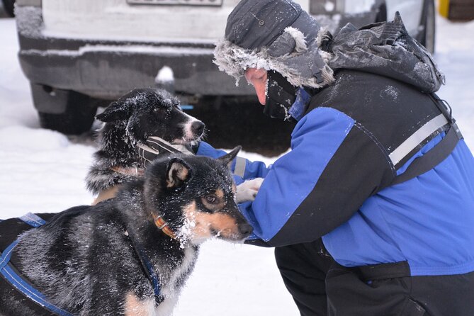 Husky Tour Sit and Drive Combo Tour from Kiruna - Learning from the guides