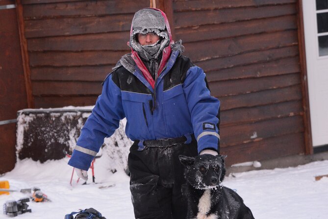 Husky Tour Sit and Drive Combo Tour from Kiruna - Taking the reins on your own sled