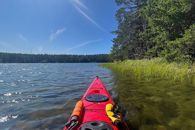 Kayak Tour in the Stockholm Archipelago with Lunch Meal - Guides who shape the day