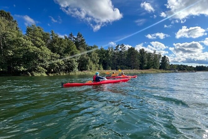 Kayak Tour in the Stockholm Archipelago with Lunch Meal - Who should book this archipelago day?