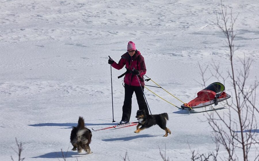 Kiruna: Cross-Country Skiing Tour with a Guide - Learning the rhythm of Arctic skiing