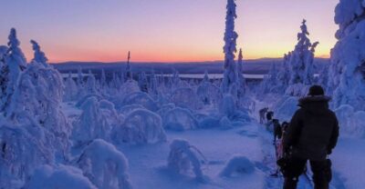 Kiruna: Guided Afternoon Drive Your Own Dog Sled Tour