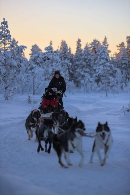 Kiruna: Morning Husky Sled Ride with Coffee Break - FAQ