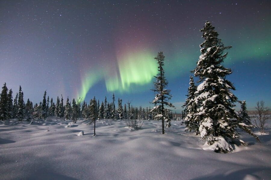Kiruna: Northern Lights Minivan Chase with Warm Drink - Waiting Outdoors With Hot Coffee and Lapland Treats