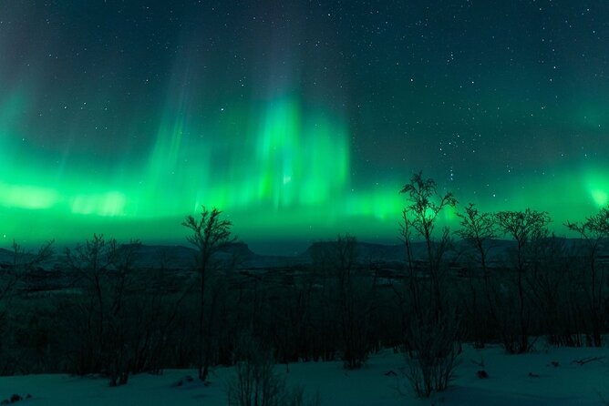 Kiruna Northern Lights Tour with Photographer - The real drawbacks: snow, uncertainty, and guide variation