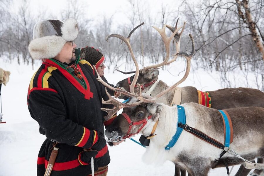 KIRUNA: Sami Reindeer Experience - Who will enjoy this outing most?