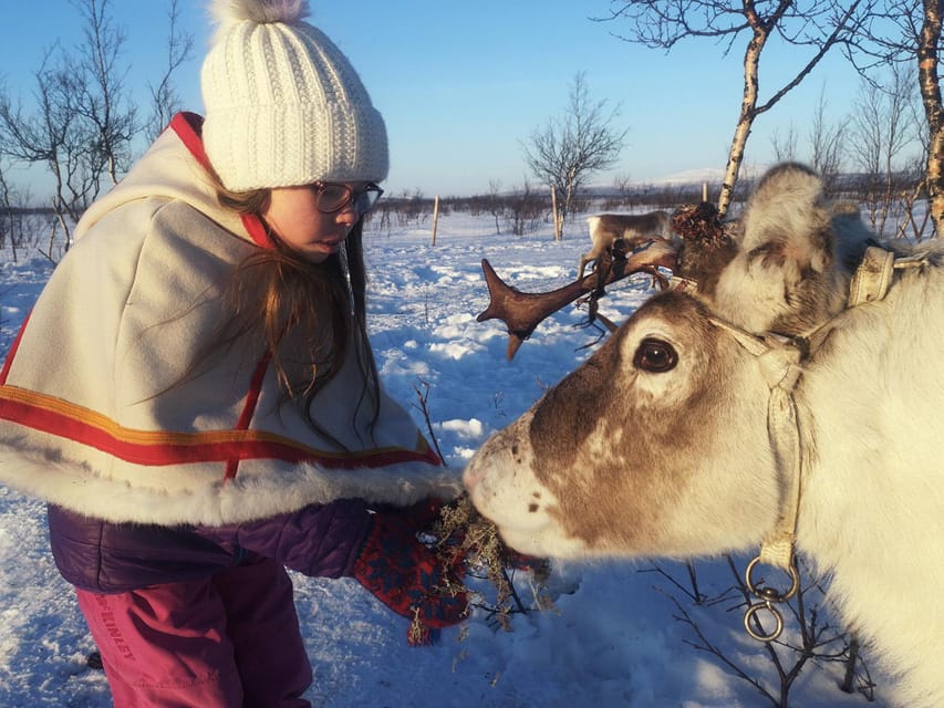Kiruna: Tour of Icehotel and Jukkasjärvi - Practical advice for a smoother visit