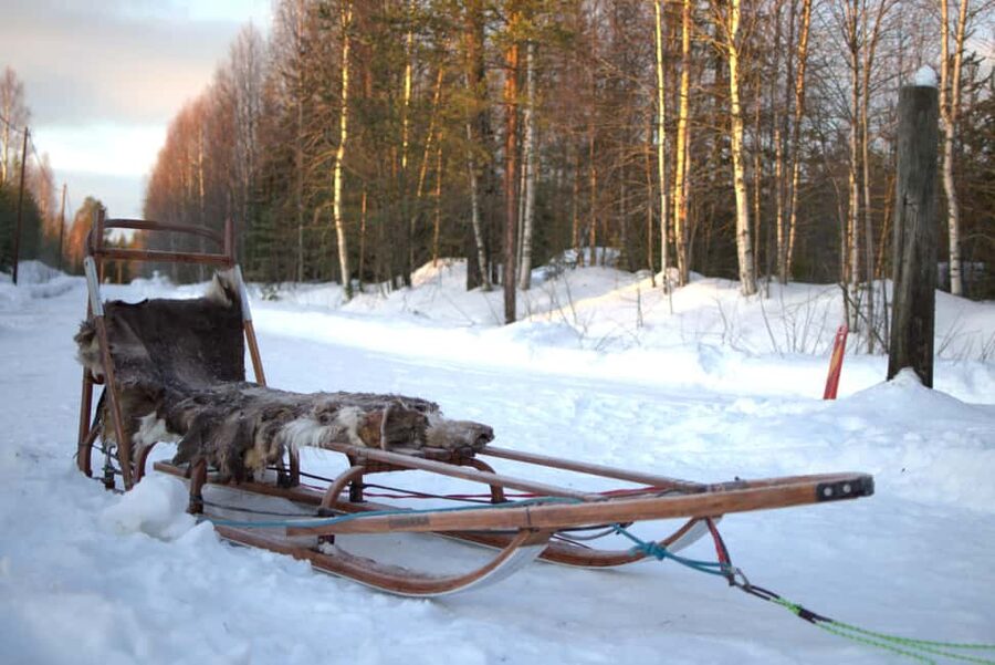 Luleå: Guided Dog Sledding Tour - Weather rules are part of the experience