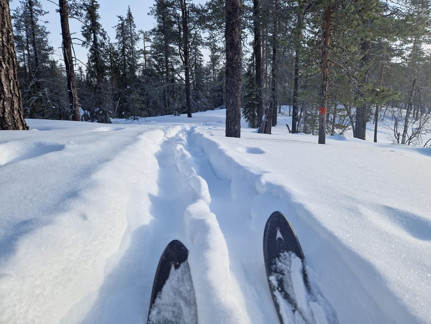 Luleå: Nordic Touring Skiing Adventure - Crossing mainland snow and the frozen Bay of Bothnia