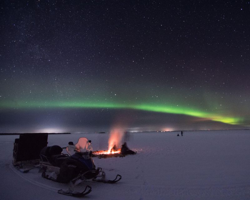 Luleå : Northern Lights Tour on a Snowmobile drawn Sled - Key points to know before booking
