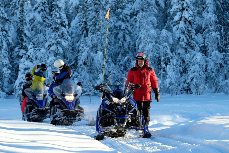 Luleå : Snowmobile - Forest and Ice Nature Tour 2h - What you can do at Brändön Lodge