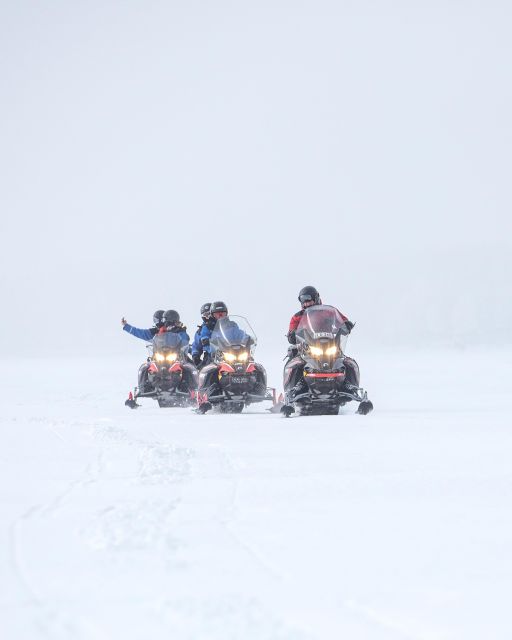 Luleå : Snowmobile - Forest and Ice Nature Tour 2h - Who will enjoy this ride most