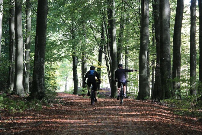 Malmo Bike Rental - Key points at a glance