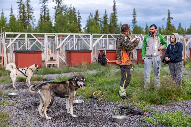 Meet 70 Huskies and Enjoy a short ATV Tour with the Huskies - Meeting 70 Huskies at a Kiruna Kennel