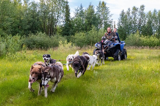 Meet 70 Huskies and Enjoy a short ATV Tour with the Huskies - Learning the Life of a Working Sled Dog