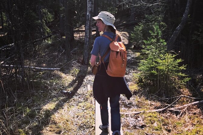 Midnight Sun and Campfire - National Park evening hike Stockholm - Leaving Stockholm at 6:30 pm