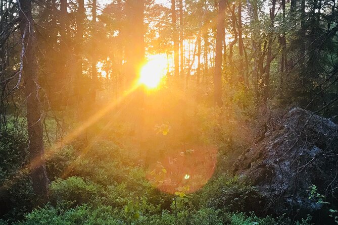Midnight Sun and Campfire - National Park evening hike Stockholm - Who will enjoy this evening most