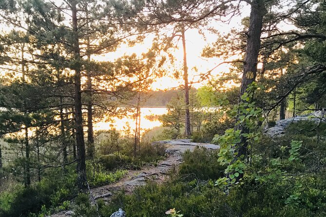 Midnight Sun and Campfire - National Park evening hike Stockholm - The early settlement and red log houses