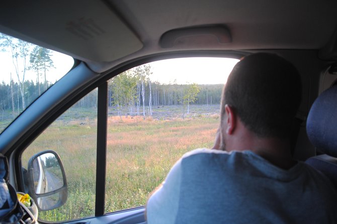 Moose safari in the wild Sweden Tiveden - Why this Tiveden safari feels different