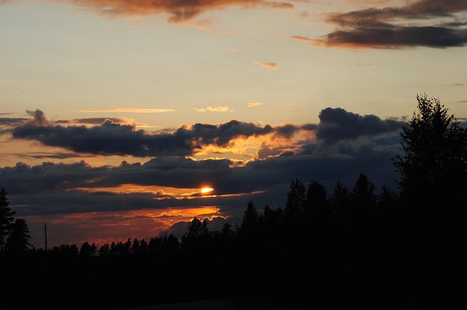 Moose safari in the wild Sweden Tiveden - The guide makes the difference