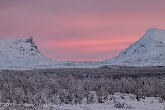 Morning hike in Abisko National Park - Should you book the Abisko morning hike?
