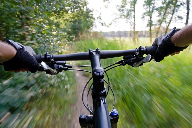 Mountain Biking Small-Group in Stockholm Forests for Beginners - Leaving Stockholm for Nackareservatet