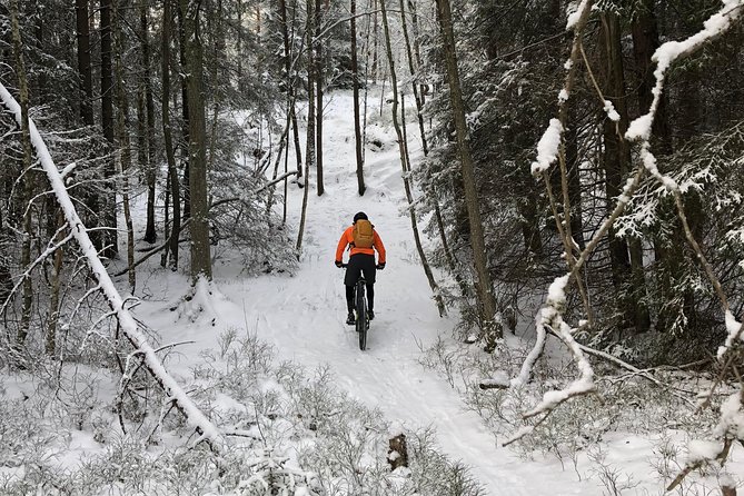 Mountain Biking Small-Group in Stockholm Forests for Beginners - Lunch, fika, and the rhythm of the day