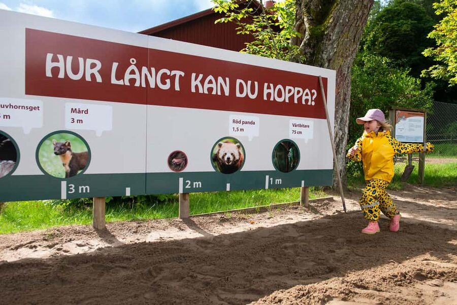 Nordens Ark Entry Ticket - The best way to see more animals