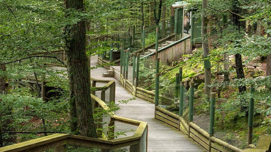 Nordens Ark Entry Ticket - Starting with the wildlife area